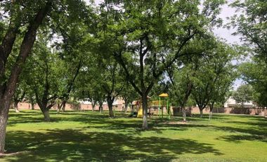Terreno en Venta en Las Trojes, Torreón, Coahuila de Zaragoza