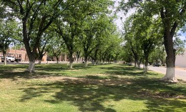 Terreno en Venta en Las Trojes, Torreón, Coahuila de Zaragoza