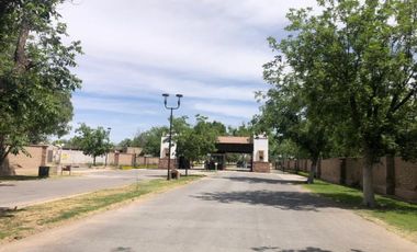 Terreno en Venta en Las Trojes, Torreón, Coahuila de Zaragoza