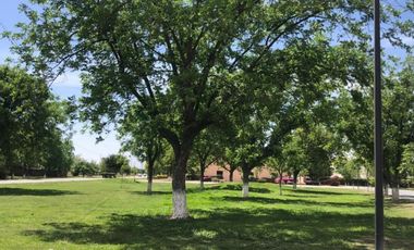 Terreno en Venta en Las Trojes, Torreón, Coahuila de Zaragoza