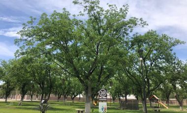 Terreno en Venta en Las Trojes, Torreón, Coahuila de Zaragoza