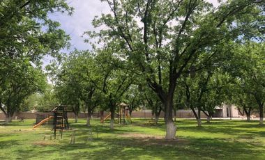 Terreno en Venta en Las Trojes, Torreón, Coahuila de Zaragoza