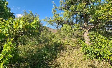 Parcela en Venta en Chancón, Rancagua