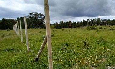 Parcelas 5.000 m² en Maullín - Puerto Montt