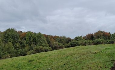 Parcelas 5.000 m² en Maullín - Puerto Montt