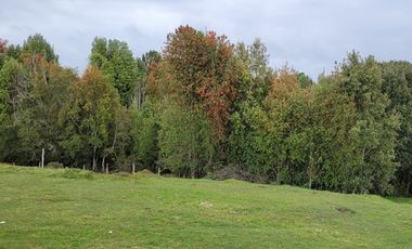Parcelas 5.000 m² en Maullín - Puerto Montt