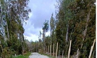 Parcelas 5.000 m² en Maullín - Puerto Montt