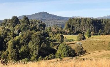 Oasis Natural en Lago Puyehue, Tu inversión Ideal