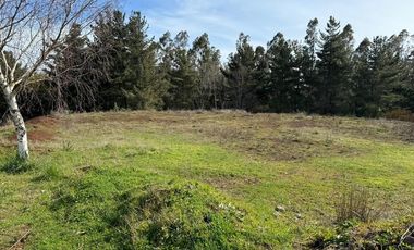 Terreno en excelente ubicación