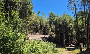 EN VENTA PARCELA ORILLA LAGO SAN ANTONIO CHILOE