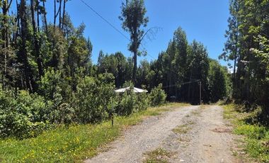 EN VENTA PARCELA ORILLA LAGO SAN ANTONIO CHILOE