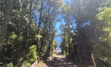 EN VENTA PARCELA ORILLA LAGO SAN ANTONIO CHILOE