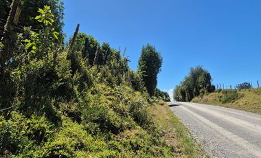 EN VENTA PARCELA ORILLA LAGO SAN ANTONIO CHILOE