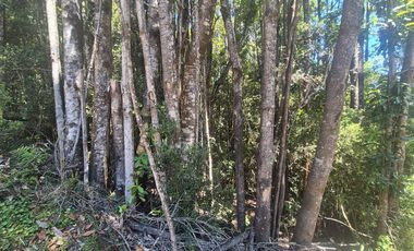 EN VENTA PARCELA ORILLA LAGO SAN ANTONIO CHILOE