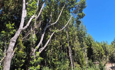 EN VENTA PARCELA ORILLA LAGO SAN ANTONIO CHILOE