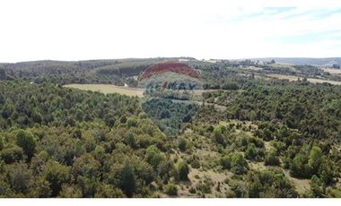 Parcelas Estaquilla Puerto Varas