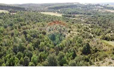 Parcelas Estaquilla Puerto Varas