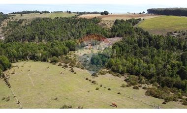 Parcelas Estaquilla Puerto Varas