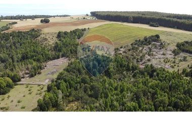 Parcelas Estaquilla Puerto Varas