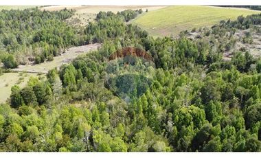 Parcelas Estaquilla Puerto Varas