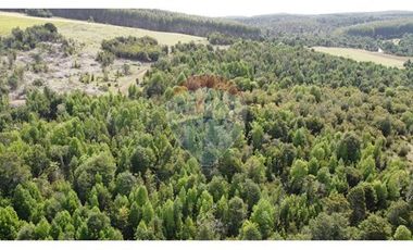 Parcelas Estaquilla Puerto Varas