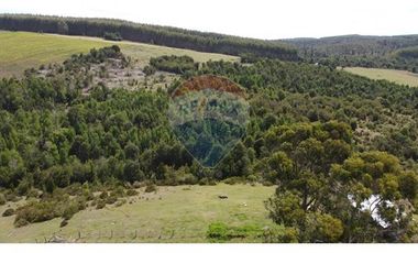 Parcelas Estaquilla Puerto Varas