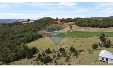 Parcelas Estaquilla Puerto Varas