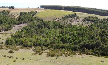 Parcelas Estaquilla Puerto Varas