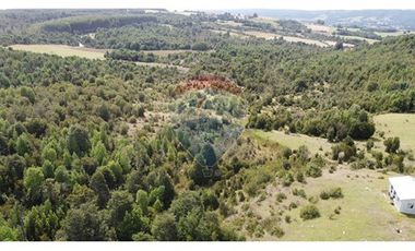 Parcelas Estaquilla Puerto Varas