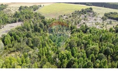 Parcelas Estaquilla Puerto Varas