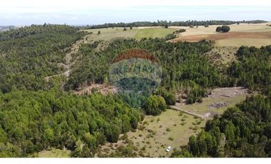 Parcelas Estaquilla Puerto Varas