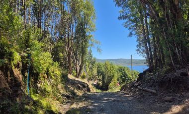 VENTA PARCELA C/ ACCESO A LAGO SAN ANTONIO CHILOE