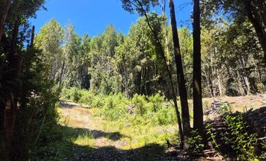 VENTA PARCELA C/ ACCESO A LAGO SAN ANTONIO CHILOE