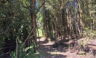 VENTA PARCELA C/ ACCESO A LAGO SAN ANTONIO CHILOE