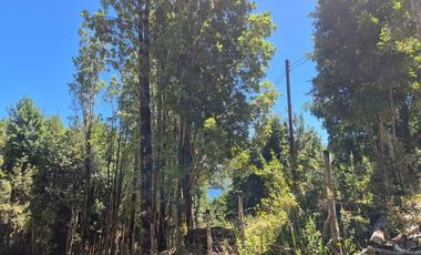 VENTA PARCELA C/ ACCESO A LAGO SAN ANTONIO CHILOE