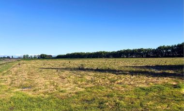 Tu Oasis de Lujo en Colchagua, ¡Descúbrelo!