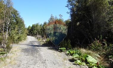 ¡Oportunidad única! Parcela Lago Chapo, 10,000m²