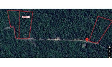 ¡Oportunidad única! Parcela Lago Chapo, 10,000m²