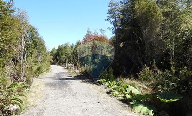 ¡Oportunidad única! Parcela Lago Chapo, 10,000m²