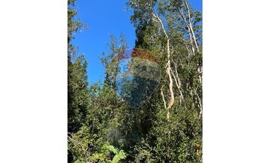 ¡Oportunidad única! Parcela Lago Chapo, 10,000m²