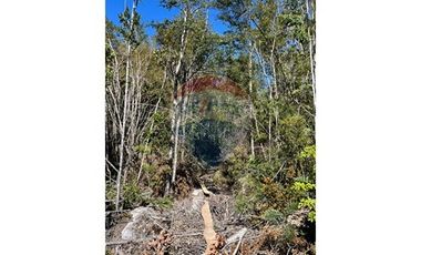 ¡Oportunidad única! Parcela Lago Chapo, 10,000m²