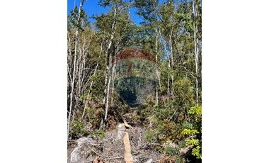 ¡Oportunidad única! Parcela Lago Chapo, 10,000m²