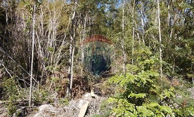 ¡Oportunidad única! Parcela Lago Chapo, 10,000m²