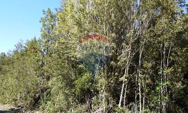 ¡Oportunidad única! Parcela Lago Chapo, 10,000m²