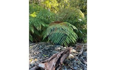 ¡Oportunidad única! Parcela Lago Chapo, 10,000m²