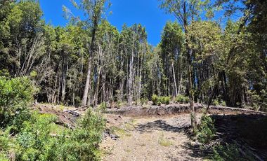 EN VENTA PARCELA CON ORILLA LAGO, QUELLON