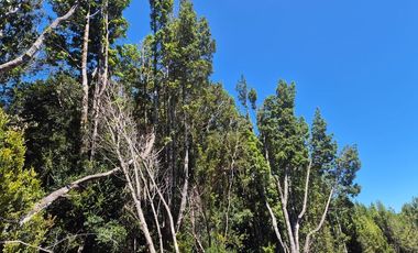 EN VENTA PARCELA CON ORILLA LAGO, QUELLON