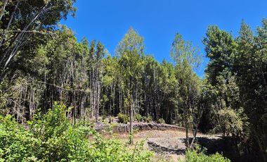 EN VENTA PARCELA CON ORILLA LAGO, QUELLON