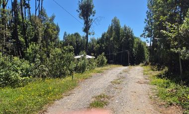 EN VENTA PARCELA CON ORILLA LAGO, QUELLON