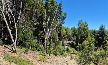 EN VENTA PARCELA CON ORILLA LAGO, QUELLON